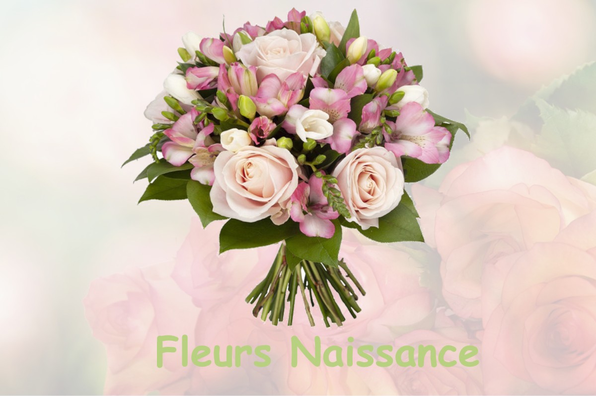 fleurs naissance HORVILLE-EN-ORNOIS