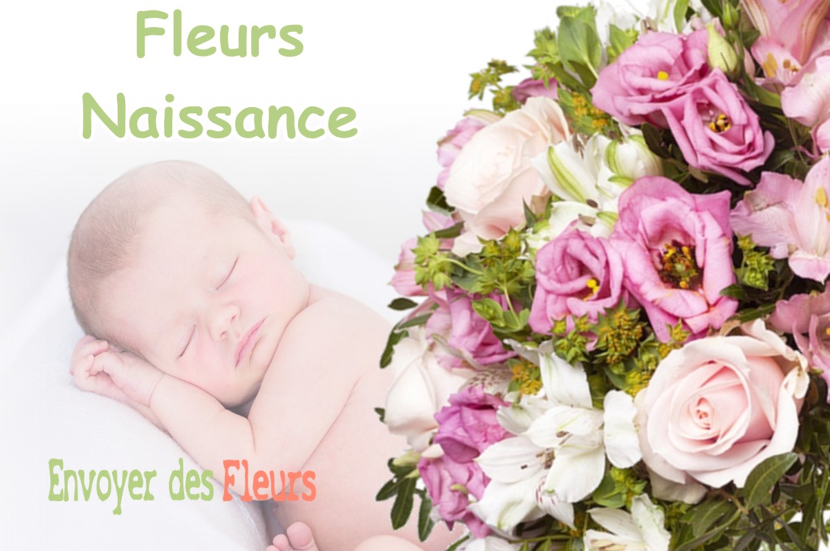 lIVRAISON FLEURS NAISSANCE à HORVILLE-EN-ORNOIS